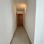 Simon *